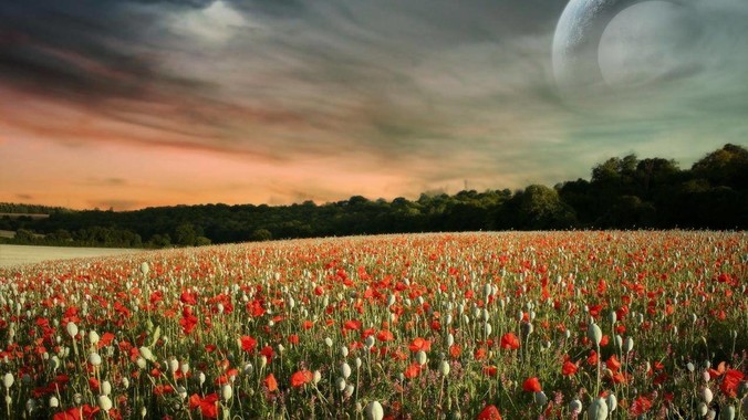 美国搞出个“稳定币”，到底是什么？其它国家是如何看待稳定币的？